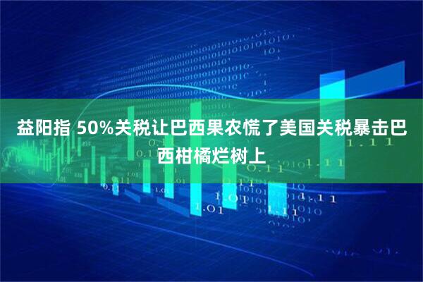 益阳指 50%关税让巴西果农慌了美国关税暴击巴西柑橘烂树上
