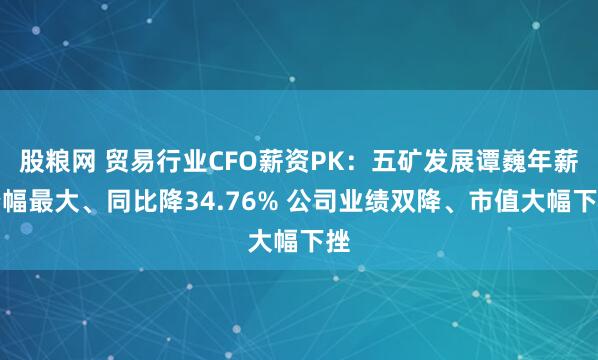 股粮网 贸易行业CFO薪资PK：五矿发展谭巍年薪降幅最大、同比降34.76% 公司业绩双降、市值大幅下挫