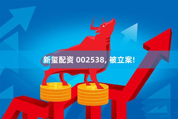 新玺配资 002538, 被立案!