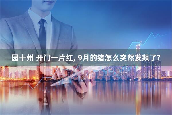 园十州 开门一片红, 9月的猪怎么突然发飙了?