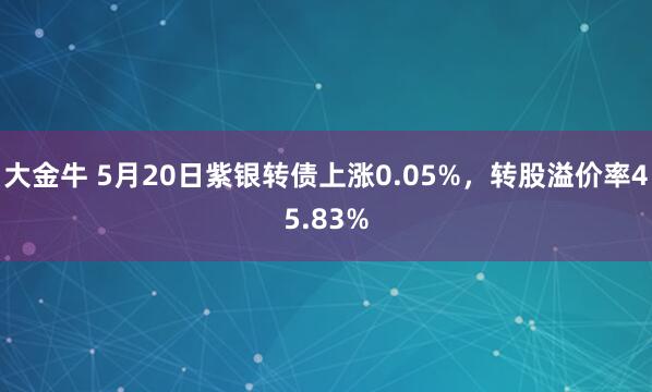 大金牛 5月20日紫银转债上涨0.05%，转股溢价率45.83%