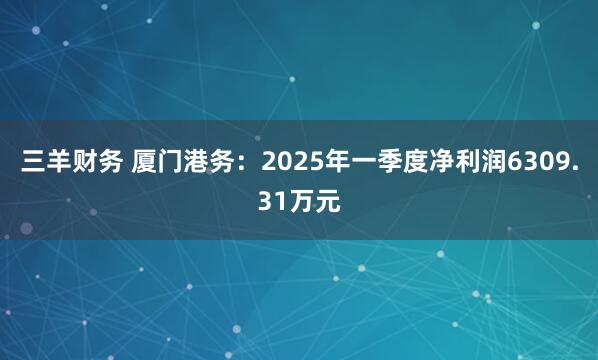 三羊财务 厦门港务：2025年一季度净利润6309.31万元
